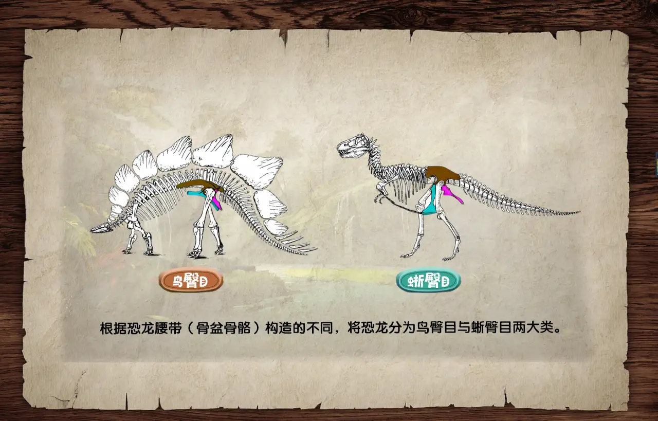 恐龙图片